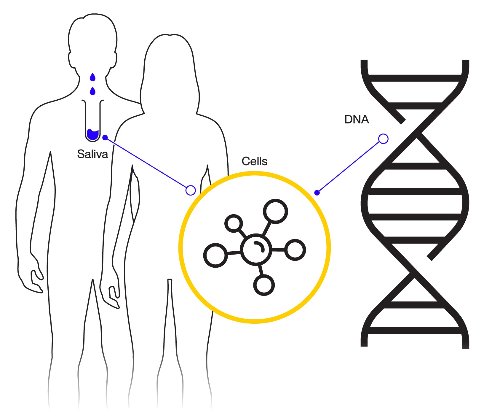Comprehensive Genetic Test